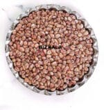 لوبیا چیتی درجه یک